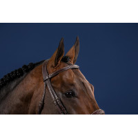 Trense Hunter US Collection by Dy'on Schwarz Trense Hunter US Collection by Dy'on Schwarz