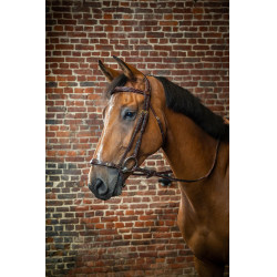 Trensenzaum mit verstellbarem Hannoverschem Reithalfter D Collection by Dy'on