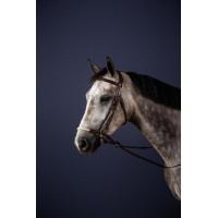 Trensenzaum mit deutschem Reithalfter Seil New English Collection by Dy'on Schwarz