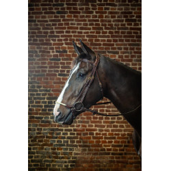 Bridon Muserolle Allemande Corde D Collection by Dy'on Brun