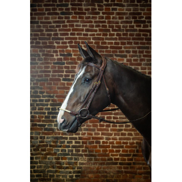 Bridon Muserolle Allemande Corde D Collection by Dy'on Brun