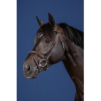 Kombiniertes Reithalfter US Collection by Dy'on Schwarz Kombiniertes Reithalfter US Collection by Dy'on Schwarz