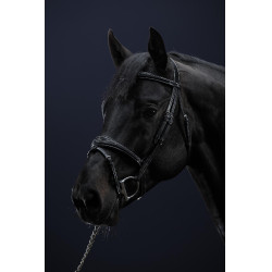 Kombiniertes Reithalfter Anatomisch US Collection by Dy'on Schwarz