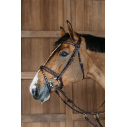 Geflochtener Trensenzaum mit kombiniertem Reithalfter New English Collection by Dy'on