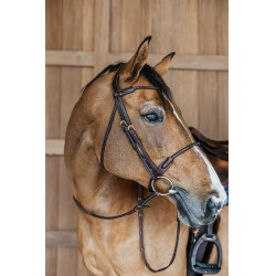 Kombiniertes Reithalfter mit rund geflochtener Trense Dy'on Braun