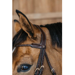 Kombiniertes Reithalfter mit rund geflochtener Trense Dy'on Braun
