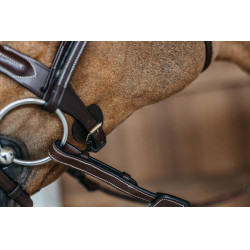 Kombiniertes Reithalfter mit rund geflochtener Trense Dy'on Braun