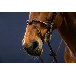 Bridon Muserolle Corde Recouverte de Cuir D Collection by Dy'on Brun Bridon Muserolle Corde Recouverte de Cuir D Collection by Dy'on Brun