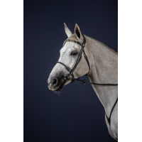 Trensenzaum Nasenriemen mit Leder überzogen New English Collection by Dy'on Schwarz Trensenzaum Nasenriemen mit Leder überzogen New English Collection by Dy'on Schwarz