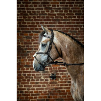 Reithalfter mit kombiniertem Nasenriemen D Collection by Dy'on Schwarz