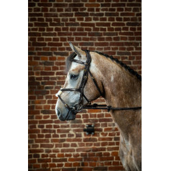 Reithalfter mit kombiniertem Nasenriemen D Collection by Dy'on