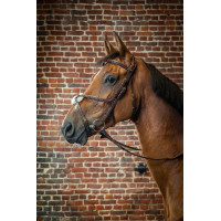 Reithalfter mit kombiniertem Nasenriemen D Collection by Dy'on Schwarz