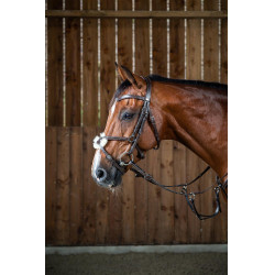 Kreuznasenriemen-Trense Working By Dy'on