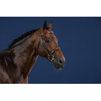 Trensenzaum Französisches Reithalfter US Collection by Dy'on Schwarz