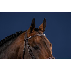 Trensenzaum Französisches Reithalfter US Collection by Dy'on Braun