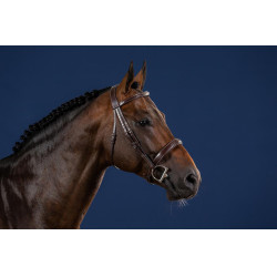 Reithalfter mit breitem Nasenriemen Hunter US Collection by Dy'on