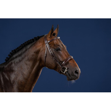 Reithalfter mit breitem Nasenriemen Hunter US Collection by Dy'on