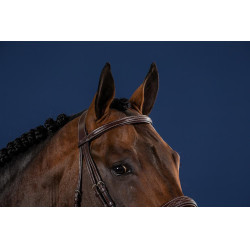 Reithalfter mit breitem Nasenriemen Hunter US Collection by Dy'on Braun