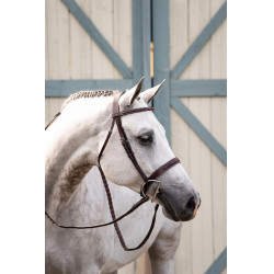 Reithalfter mit breitem Nasenriemen Hunter US Collection by Dy'on Braun