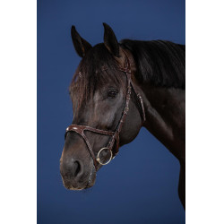 Bridon X-Fit US Collection by Dy'on Braun Bridon X-Fit US Collection by Dy'on Braun