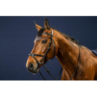 Trense X-Fit D Collection by Dy'on Schwarz Trense X-Fit D Collection by Dy'on Schwarz