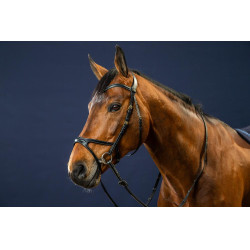 Trense X-Fit D Collection by Dy'on Schwarz