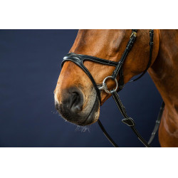 Trense X-Fit D Collection by Dy'on Schwarz