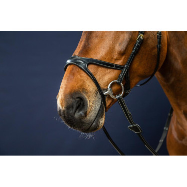 Trense X-Fit D Collection by Dy'on Schwarz