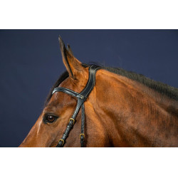 Trense X-Fit D Collection by Dy'on Schwarz