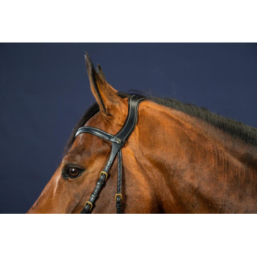 Trense X-Fit D Collection by Dy'on Schwarz