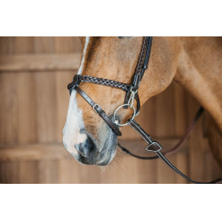 Geflochtene Trainingszäumung Working von Dy'on Braun Geflochtene Trainingszäumung Working von Dy'on Braun