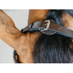 Geflochtene Trainingszäumung Working von Dy'on Braun Geflochtene Trainingszäumung Working von Dy'on Braun