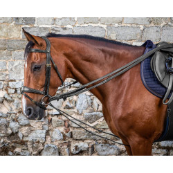 Deutsche Zügel Leder/Nylon 5/8 D Collection by Dy'on