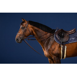 Deutsche Zügel Full Leather 1/2 US Collection by Dy'on