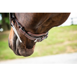 Großes Hunter-Nasenband mit Pullback US Collection by Dy'on