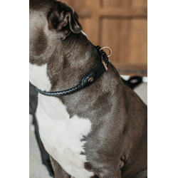 Geflochtenes Hundehalsband Dy'on Geflochtenes Hundehalsband Dy'on