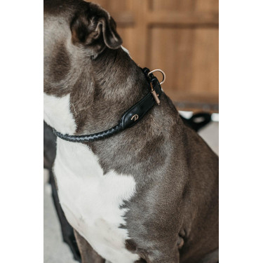 Geflochtenes Hundehalsband Dy'on Geflochtenes Hundehalsband Dy'on