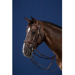 Trense Kombinierter Reithalfter D Collection by Dy'on