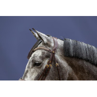 Trense Kombinierter Reithalfter D Collection by Dy'on Braun Trense Kombinierter Reithalfter D Collection by Dy'on Braun