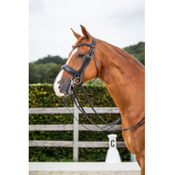 Trense Reithalfter Large Mat New English Collection by Dy'on