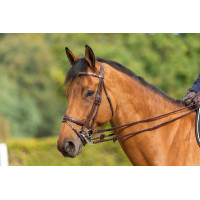 Trense Kombinierter Reithalfter New English Collection by Dy'on Schwarz