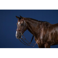 Trense Kombinierter Reithalfter New English Collection by Dy'on Schwarz