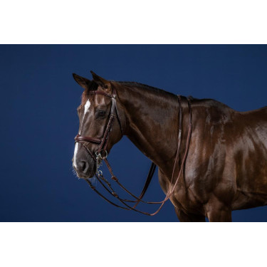 Trense Kombinierter Reithalfter New English Collection by Dy'on Braun