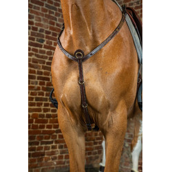 Brustblatt D Collection by Dy'on Braun