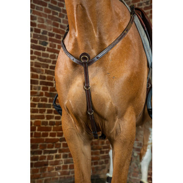 Brustblatt D Collection by Dy'on Braun