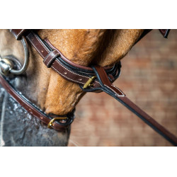 Feste Martingalgabel D Collection by Dy'on Braun