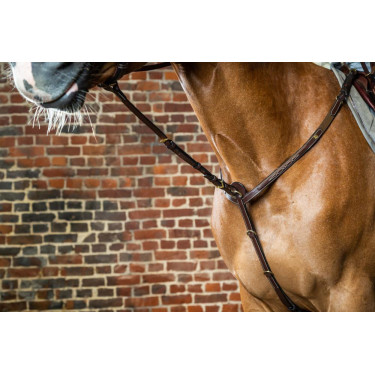 Feste Martingalgabel D Collection by Dy'on Braun