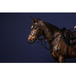 Howlett-Gabel D Collection by Dy'on Howlett-Gabel D Collection by Dy'on