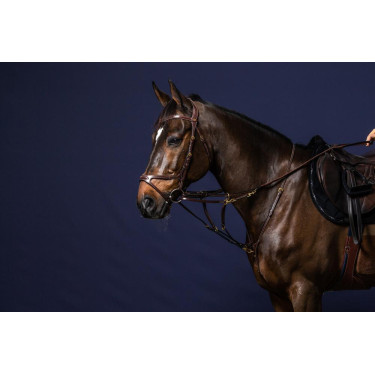 Howlett-Gabel D Collection by Dy'on Howlett-Gabel D Collection by Dy'on