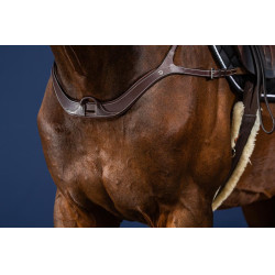 Anatomisches Vorderzeug US Collection by Dy'on Braun